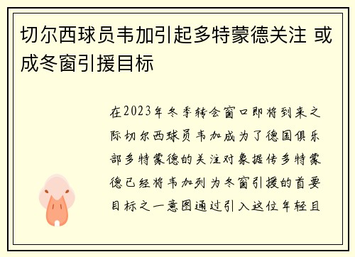 切尔西球员韦加引起多特蒙德关注 或成冬窗引援目标